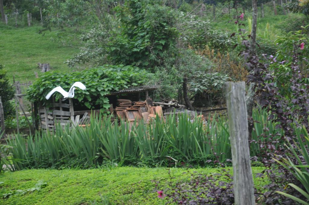 Eco Pousada Eldorado Lumiar Exterior foto